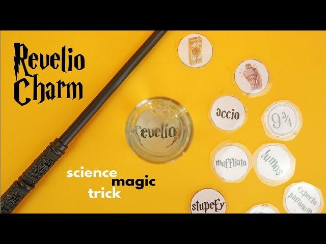 Revelio Charm: A Science Magic Trick for Kids