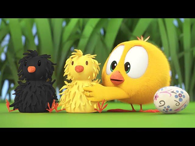 Chicky e seus amigos | Onde está Chicky? | Pintinha amarelinho | Coleção desenhos animados Infantil