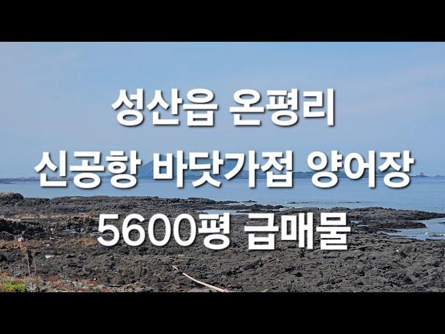 서귀포시 성산읍 온평리 신공항 바닷가접 양어장 5600평 급매물 010 4436 0401 제주도부동산 토지 매매 급매물 http://www.daolle.com