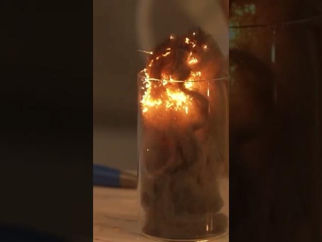 철솜연소 #과학공연 #과학공연가 #과학퍼포머