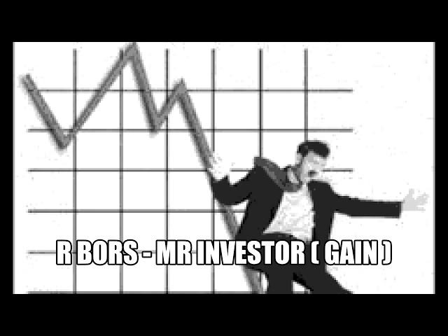 R Bors   Mr Investor  Gain