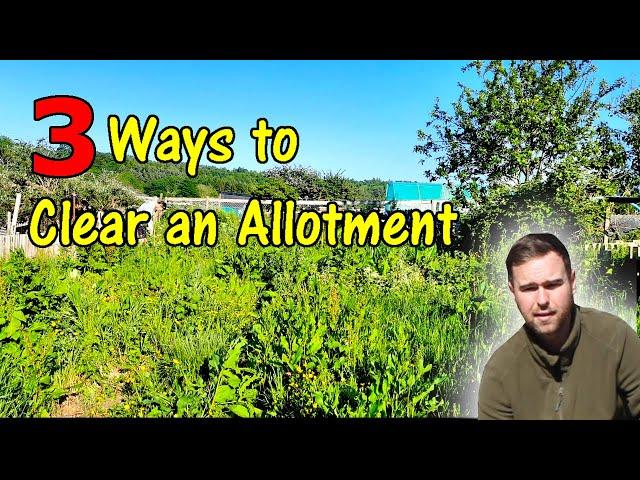 3 Effective Ways to Clear your Allotment of Weeds | How to Remove weeds from your plot | Best Ways!