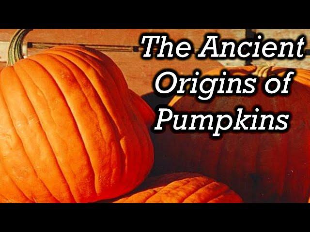 The Surprising History of Pumpkins