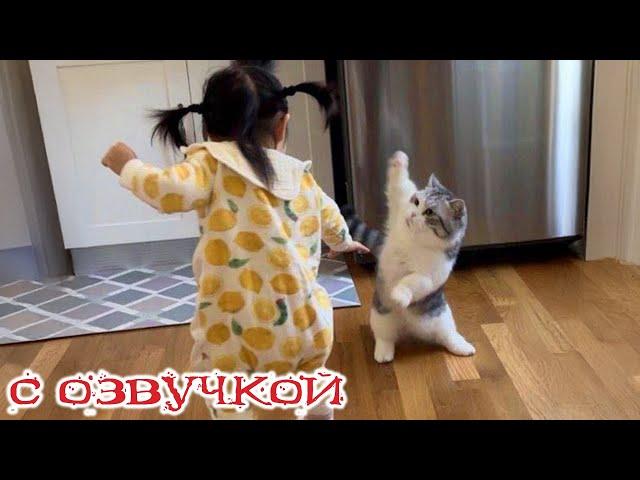 Funny Animal Videos 2024 - Funniest Dogs and Cats Videos #290