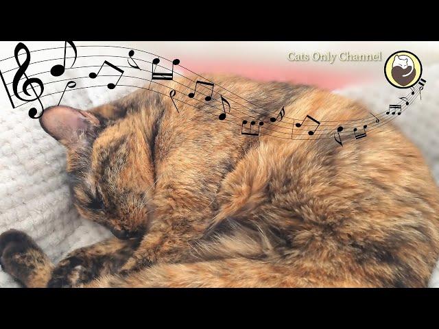 Deeply Peaceful Music for Stressed Cats - 528 Hz & Cat Purring Sounds