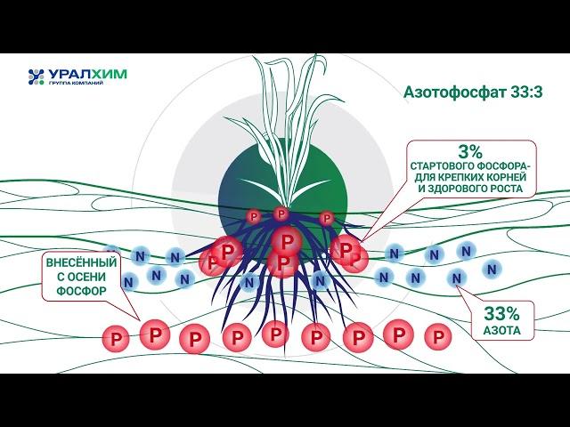 Азотофосфат от Группы "Уралхим"