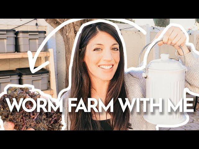 How to Maintain a Worm Farm & Feed Worms | Week One Update | Hey Its a Good Life