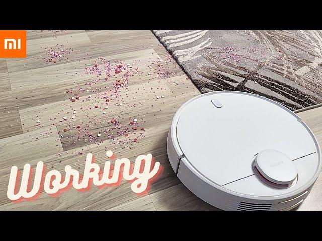 Xiaomi Robot Vacuum S10 - working and result - Part 2