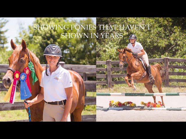 JUNE HORSE SHOW VLOG