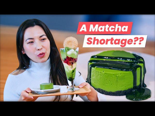 Is Matcha Disappearing? | Where to Enjoy AUTHENTIC Matcha in Tokyo!