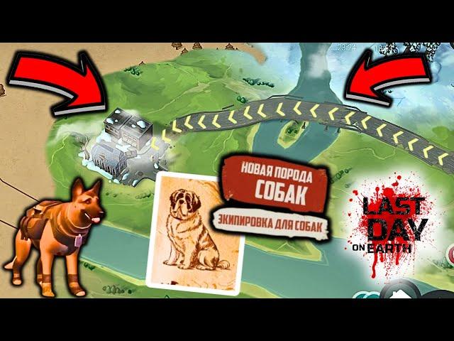 New locations with unique game modes. Road to the north - new breed of dogs in last day.