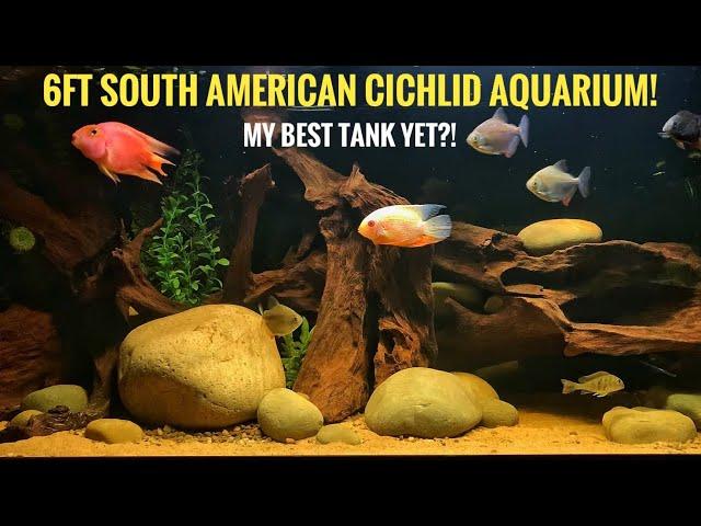 HUGE 125 gallon South American Cichlid Aquarium! | My best Fishtank yet?