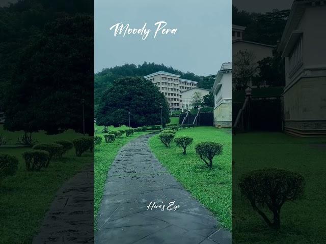 Moody Pera   #short #universityofperadeniya #rain #university  #kandy  #nature
