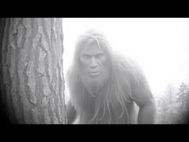 The Best Bigfoot Sounds Recorded in Washington State | Incredible Sasquatch Evidence