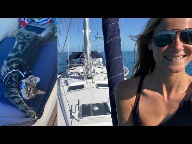 Girl and CAT sail to Bahamas after 36 hours in FLORIDA [ep 3]