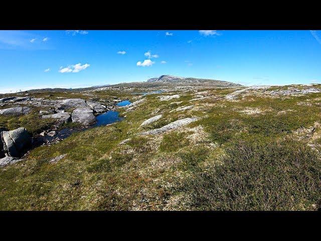 Hiking Guide: First steps towards Indre Lurfjellvatnet