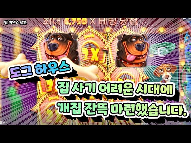 [슬롯] 프라그마틱 더 도그 하우스 슬롯 개집 분양 제대로 받았습니다. Pragmatic Play The Dog house Slot #슬롯잭팟 #슬롯구매 #슬롯머신 #슬롯