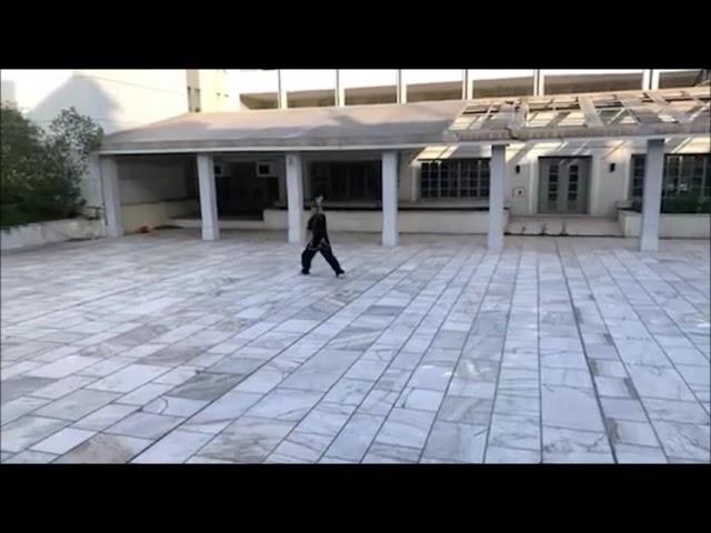 12 dashou (十二打手) complete demonstration.