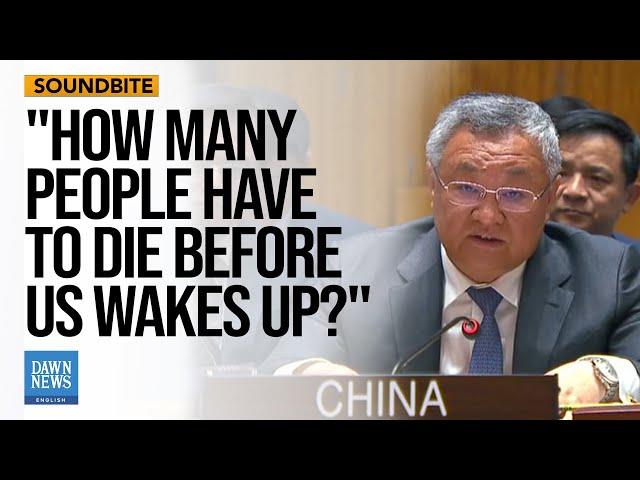 "How Many More People Have to Die Before the US Wakes Up?" — Chinese Envoy | Dawn News English