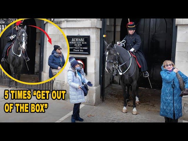  UNBELIEVABLE!! GUNNER SHOUTS 5 times at them then USES her horse to GET ONE OF THEM OUT OF THE BOX