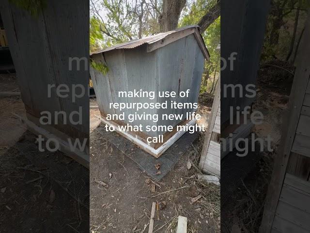 The Great Chicken Coop Restoration (Part 2)