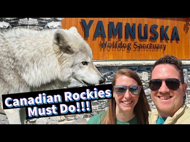 Our Experience at the Yamnuska Wolfdog Sanctuary (a MUST DO when visiting the Canadian Rockies!)