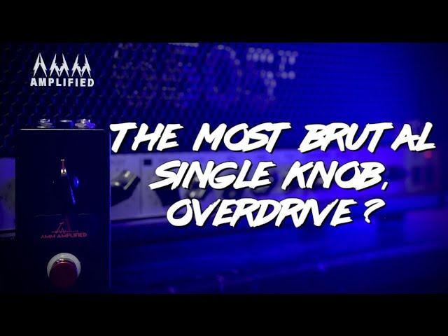 Single Knob Boost Brutality! Peavey 6505 II High Gain Amp | AMM Amplified Venom Inc Prototype Test