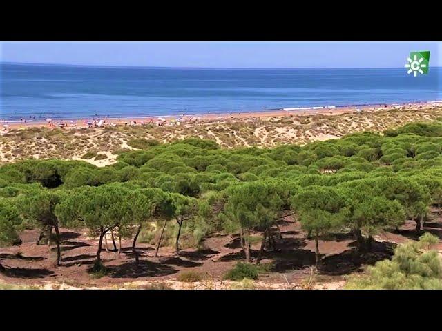 Un sueño, Costa de la Luz, Punta Umbría, Huelva