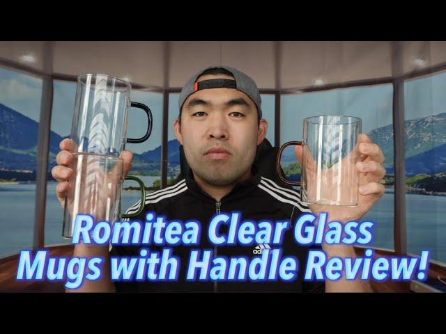 Romitea Clear Glass Mugs with Handle Set Review!