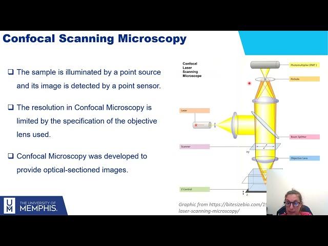 Workshop Digital Holographic Microscopy: Seminar 1 -  Imaging Modalities