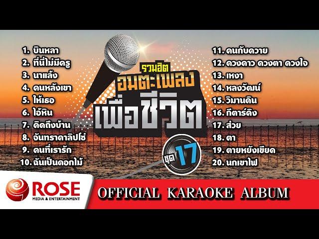 รวมฮิต - อมตะเพลงเพื่อชีวิต ชุด 17 (Karaoke Album)
