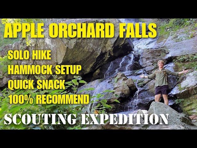 Hiking the Apple Orchard Falls Trail in Botetourt County, Va | Scenic Waterfalls & Blue Ridge Views