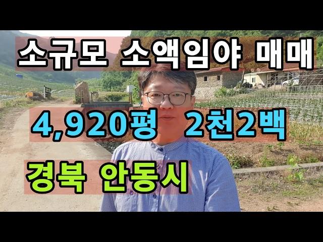 ((가격조정1천9백))경북 안동시 안동부동산 안동땅 시골땅 매매