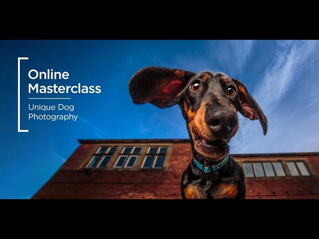 Online Masterclass | Unique Dog Photography with Cat Race & Michael Higginson