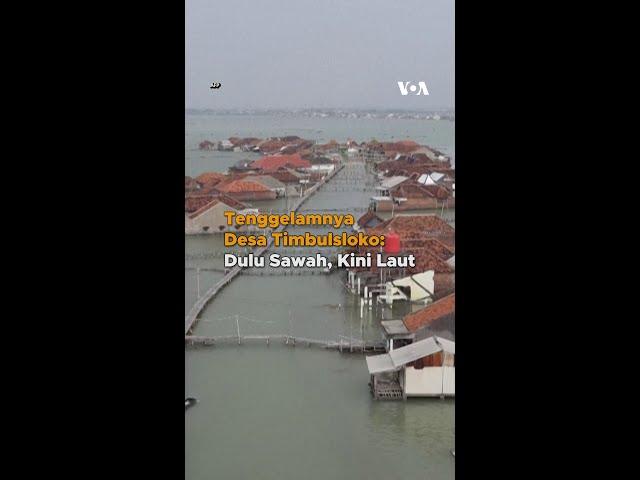 Tenggelamnya Desa Timbulsloko: Dulu Sawah, Kini Laut