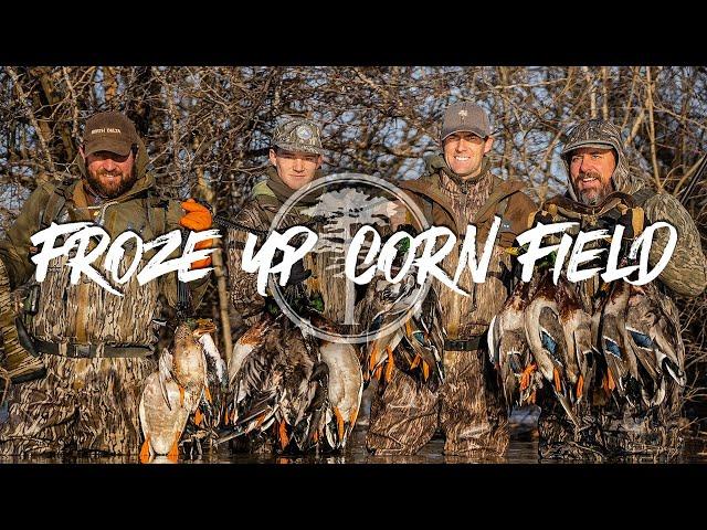 Duck Hunting- INCREDIBLE Flooded Corn Field Hunt on ICE