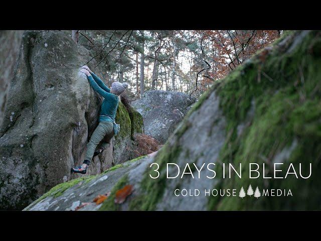 3 Foggy Days in Fontainebleau || Cold House Media Vlog 102