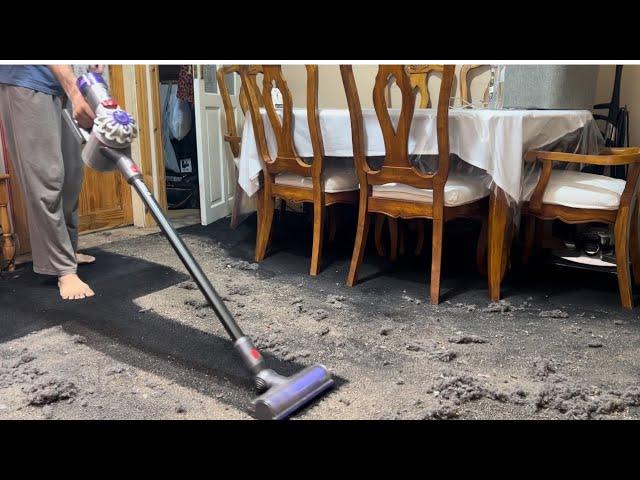 Dyson V8 Cordless vacuum cleaner - Performance Testing