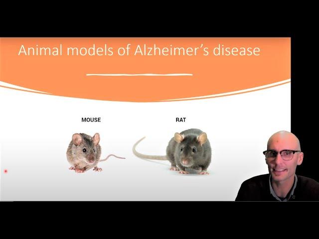 Animal models of Alzheimer's disease explained!