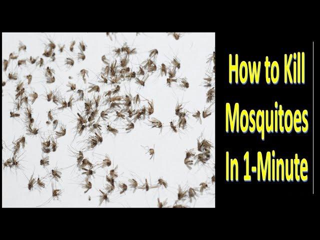 Without ALLOut, GOODnight, and Without Chemicals, How to Kill Mosquitoes in One Minute