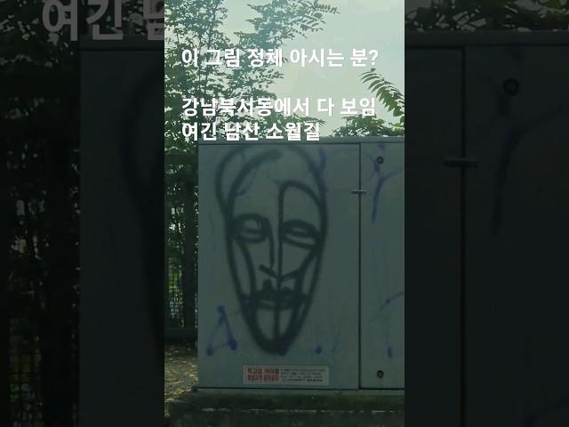 이 그림 정체가 무엇인가? 울 동네서만 보이는 줄 알았더니 아니네