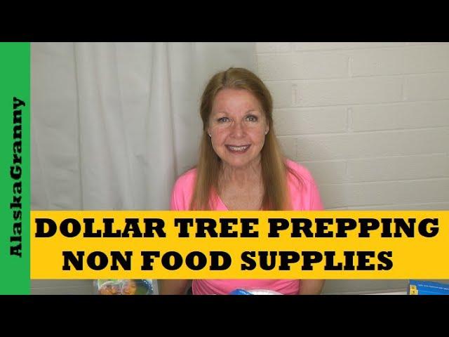 Dollar Tree Prepping Supplies...$10 Non Food Items