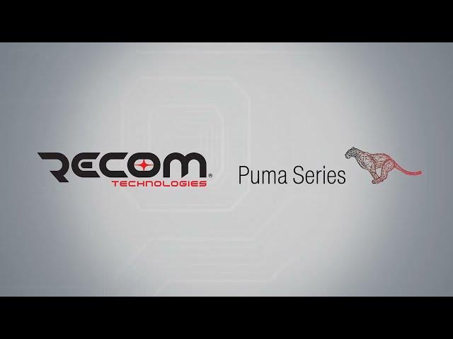 RECOM Puma Shingled PV Module