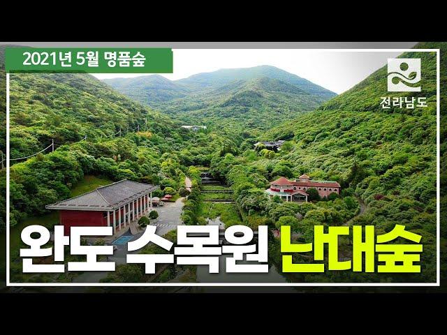 [5월 명품숲] 완도수목원 난대숲