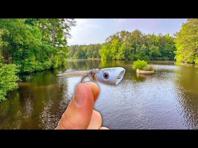 Fly Fishing for Bass with Topwater Poppers | Tons of Action!