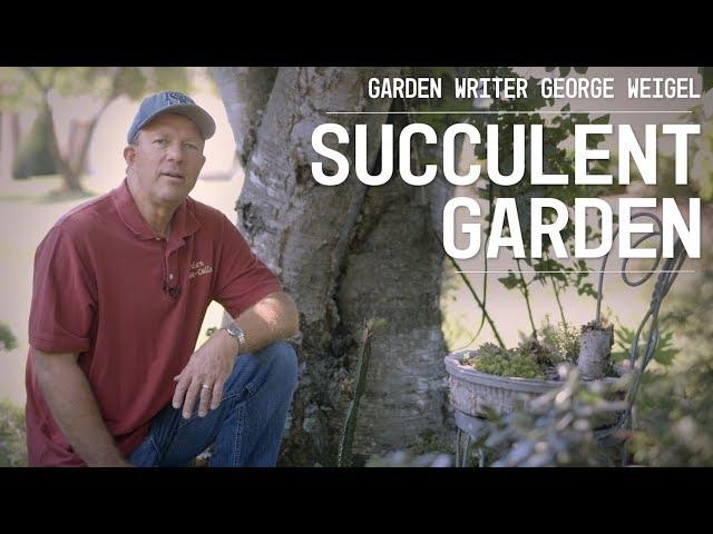 Succulent garden secrets with George Weigel