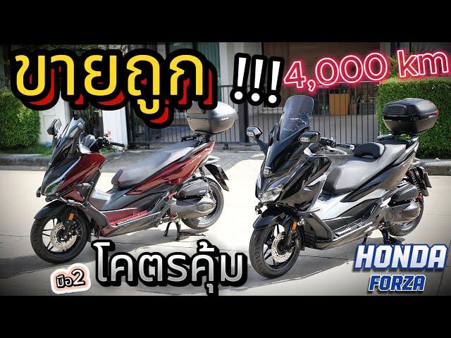 ( โคตรคุ้ม !!! ) Forza350 / Forza300 !!!  มือสองราคาถูกรถบ้านสวยจัด ช้าอด  !!!