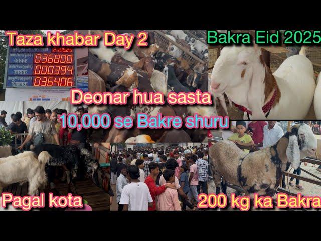 Deonar hua sasta 10000 se bakre shuru|taza khabar day 2|Bakra Eid 2025 ||Rizwan vlogs||