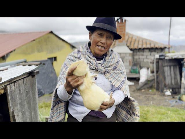 Fui a entrevistar a Doña Empera a su casa en el páramo