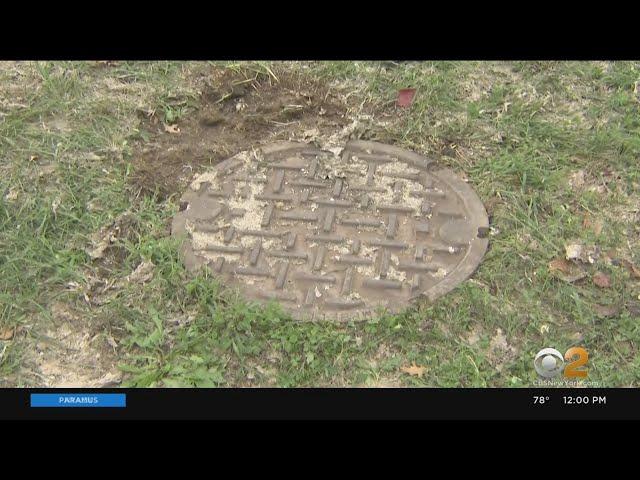 Mom Rescues 2-Year-Old From Manhole In Union, N.J.